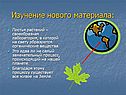 Листья растений – своеобразная лаборатория