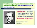 Генетика 9 класс
