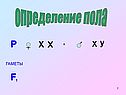 Х