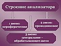 Строение анализатора
