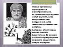 Самопроизвольное зарождение