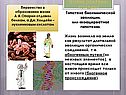 Теория опарина-холдина