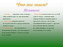 Аллель