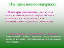 Факторы эволюции