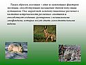 Главные факторы эволюции