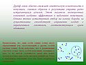 Механизм эволюционных изменений