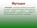 Мутации