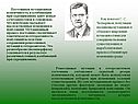 Постоянная мутационная изменчивость