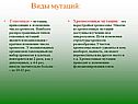 Виды мутаций