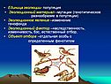 Единица эволюции- популяция Эволюционный материал –мутации