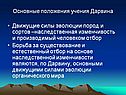 Основные положения учения Дарвина