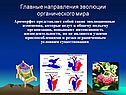 Главные направления эволюции