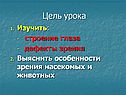 Дефекты зрения