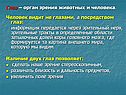 Глаз