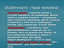 Особенности глаза человека