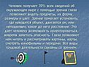 Глаза