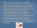 Передняя часть сосудистой оболочки
