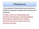 Распределите перечисленные железы по группам