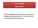 Функции