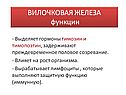 Вилочковая железа