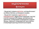 Гормон кортизон