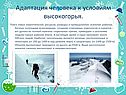 Адаптация человека к условиям высокогорья