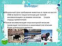 Выводы: