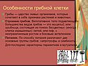 Особенности грибной клетки