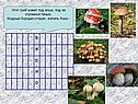 Грибы 6 класс
