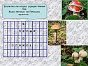 Возле леса на опушке, украшая тёмный бор, Вырос пёстрый, как Петрушка,