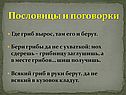 Пословицы и поговорки