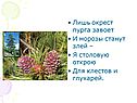 Пурга