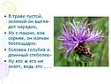 Сорняк