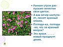 Лепестки