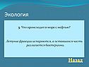 Что происходит в море с нефтью