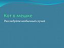 Кот в мешке