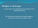 Белые киты