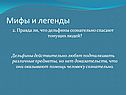Дельфины