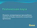 Поэтическая пауза