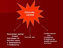 Иммунная система
