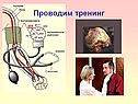 Проводим тренинг