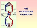 Информация о крови