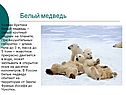 Исчезающие виды животных