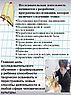 Исследовательская деятельность