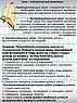 Лабораторный практикум