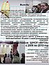 Исследовательская работа учащихся