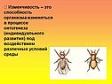 Способность организма изменяться в процессе онтогенеза