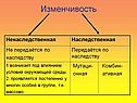 Изменчивость
