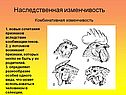 Изменчивость признаков организмов