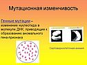 Генные мутации